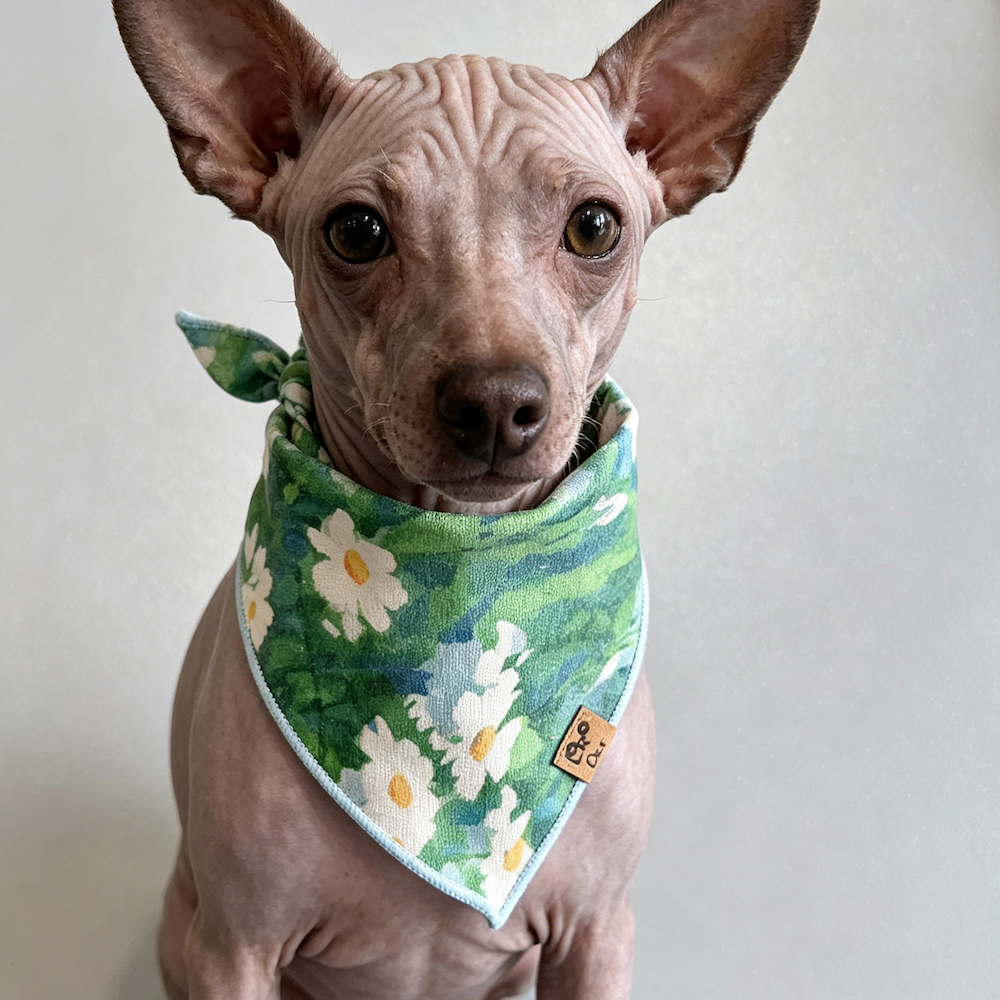 High-quality 100% pure cotton Dog Bandana