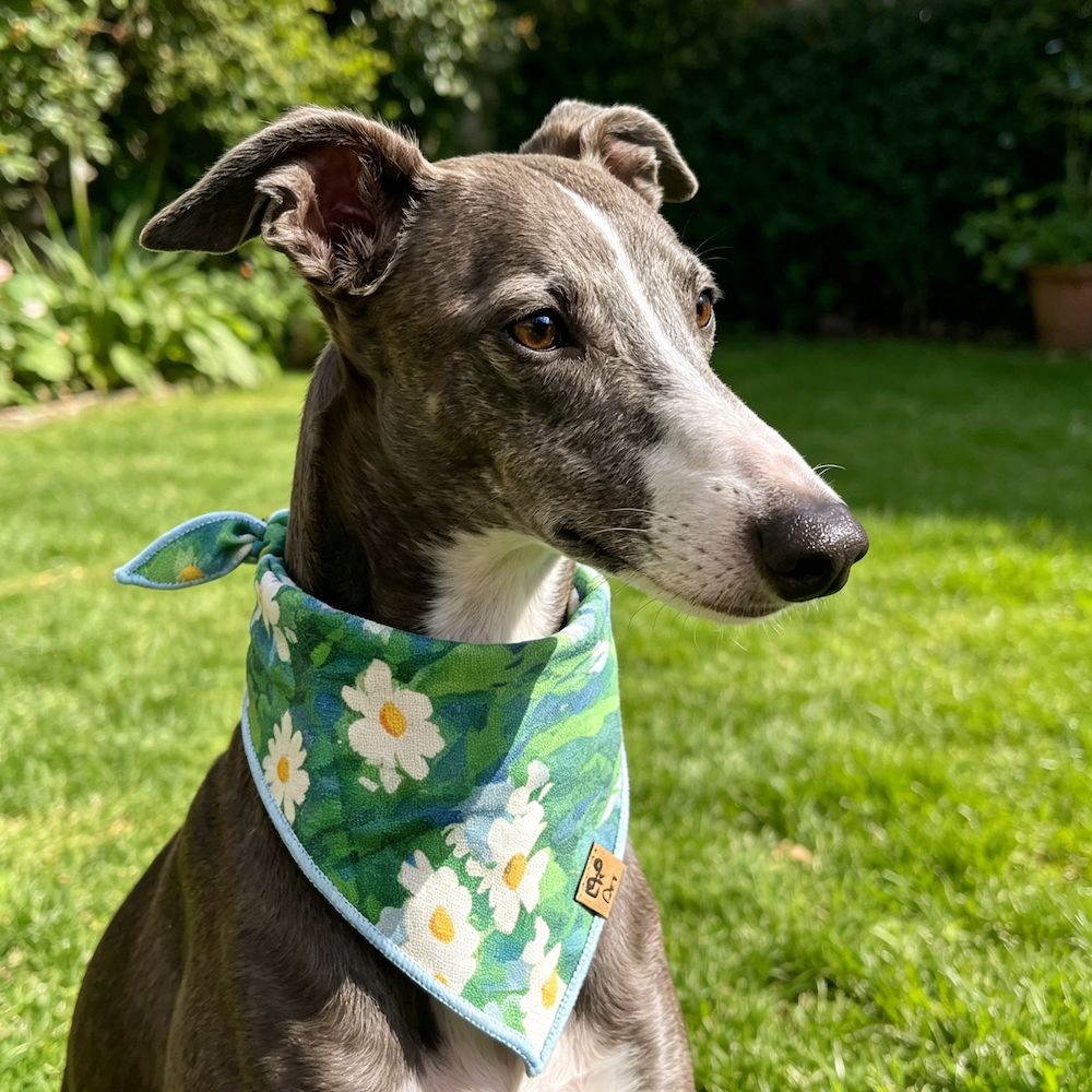High-quality 100% pure cotton Dog Bandana