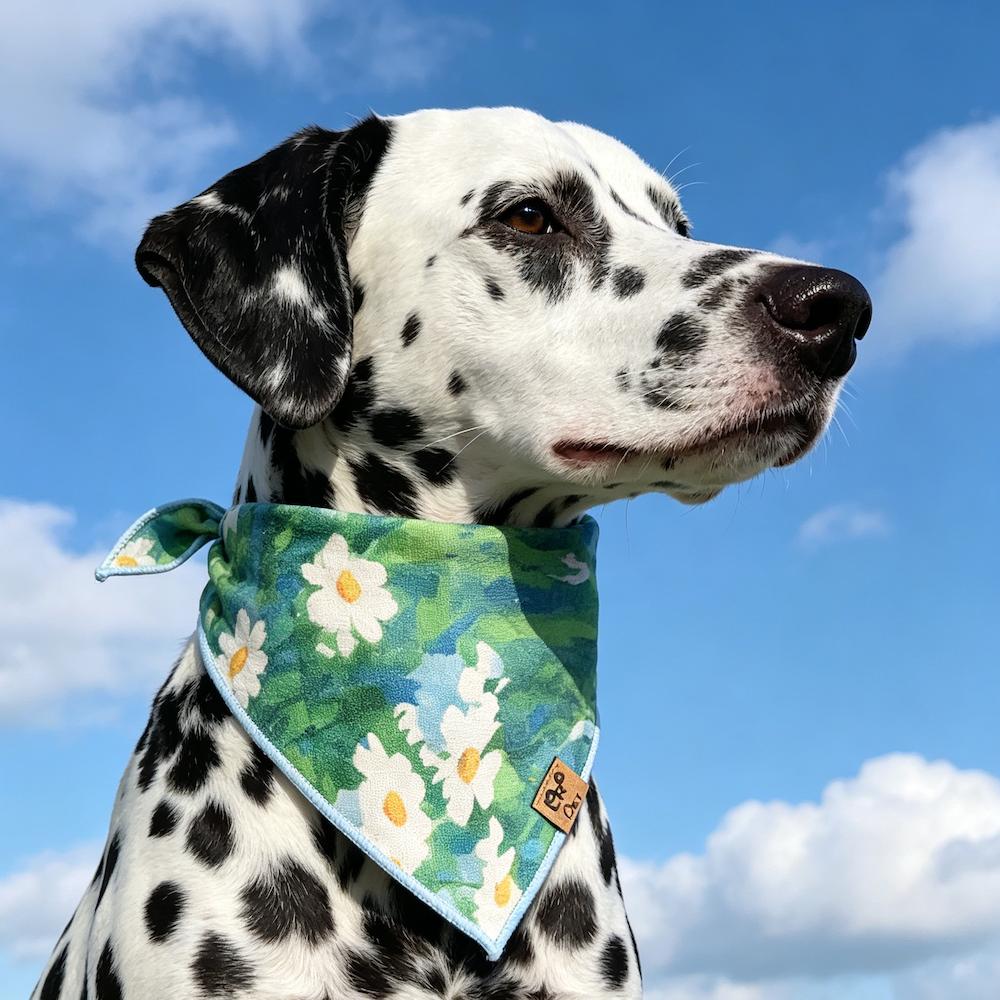 High-quality 100% pure cotton Dog Bandana