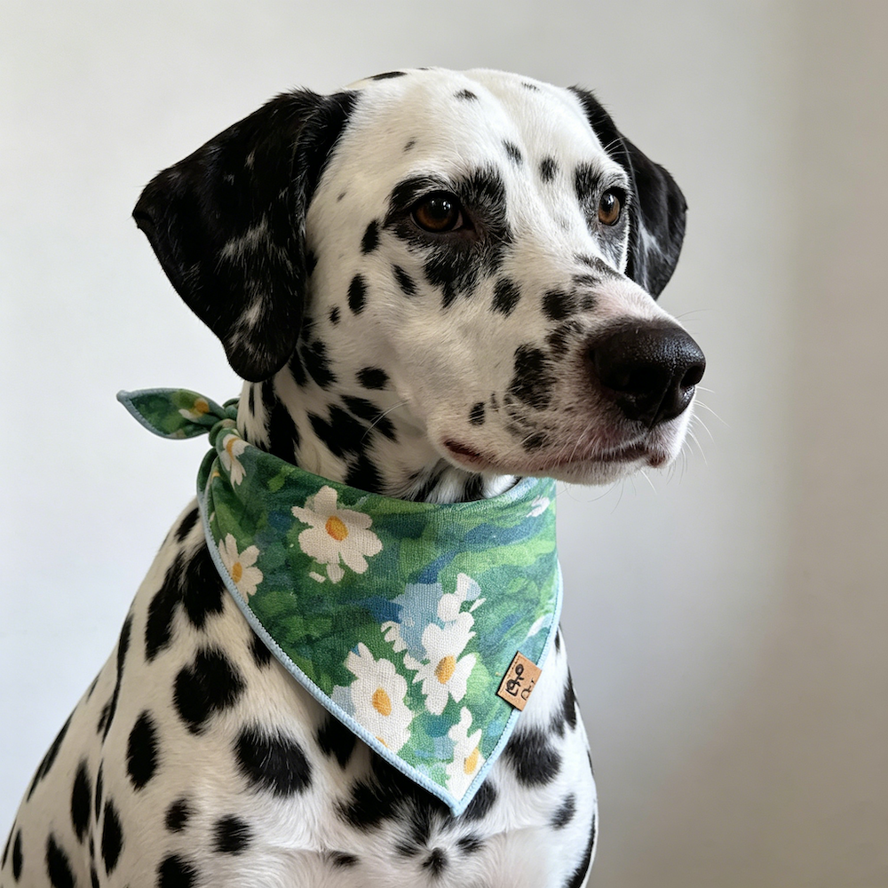 High-quality 100% pure cotton Dog Bandana