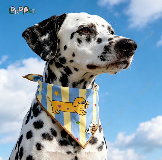 Handmade Braided Pet Collar with Charms - Custom Colorful Dog & Cat Necklace